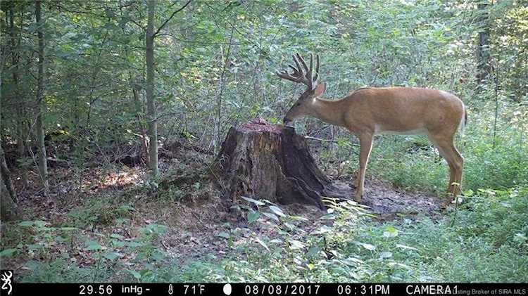 Tract 1 60 +/- Ac. Rogers Campground Rd Elizabeth, IN 47117