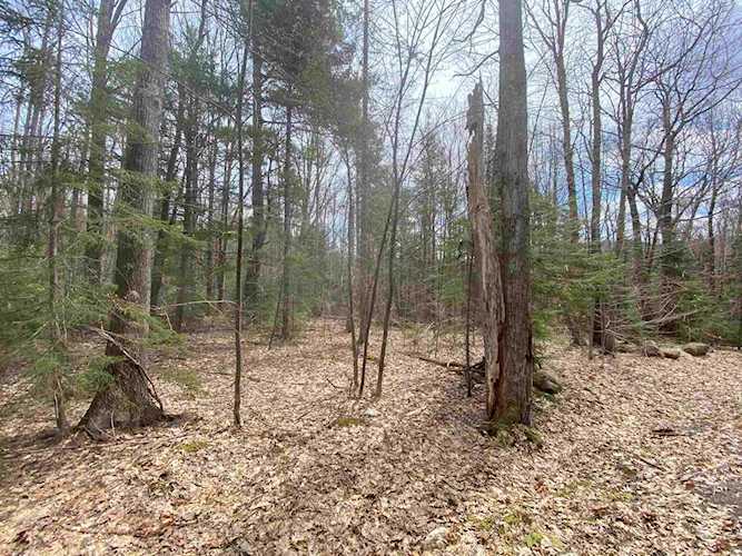 5 Catey Rose Ln Stratton, VT 05360