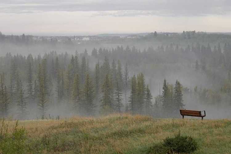 763 Shawnee Drive SW Calgary, AB T2Y 1W9