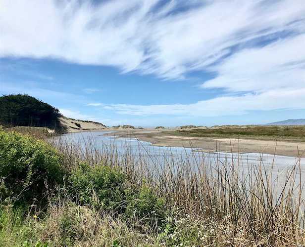 210 Bean Avenue Bodega Bay, CA 94923