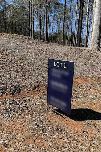 715 Hammock Ln, Milton, GA 30004 - Premier Atlanta Real Estate Photo 1