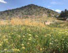 Field St Pioche, NV 89043