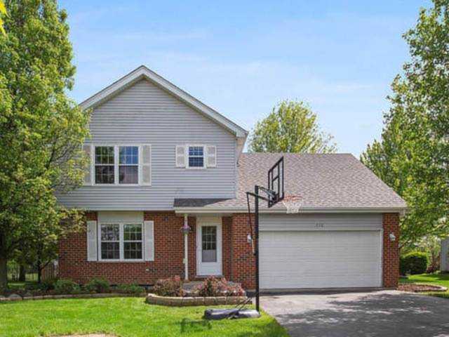 258 Hancock Dr New Lenox, IL 60451