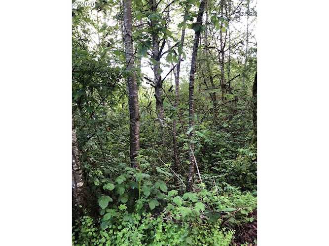 0 Salo Rd Mulino, OR 97042