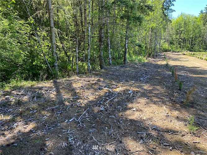 0 Texas Lane Winlock, WA 98596