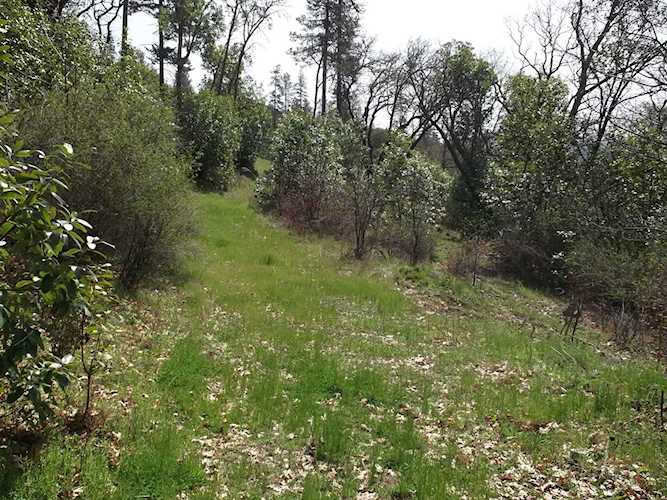 4862 N River Rd Gold Hill, OR 97525