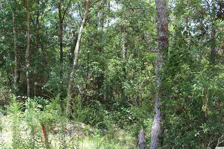 TBD Old Tram Rd. Little River, SC 29566