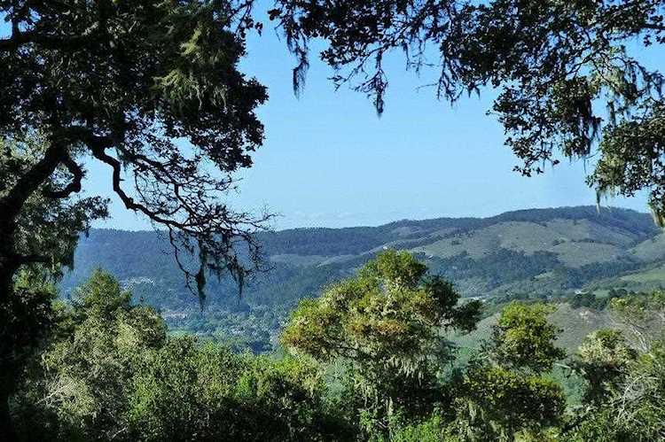 6 Rancho San Carlos Road Carmel, CA 93923