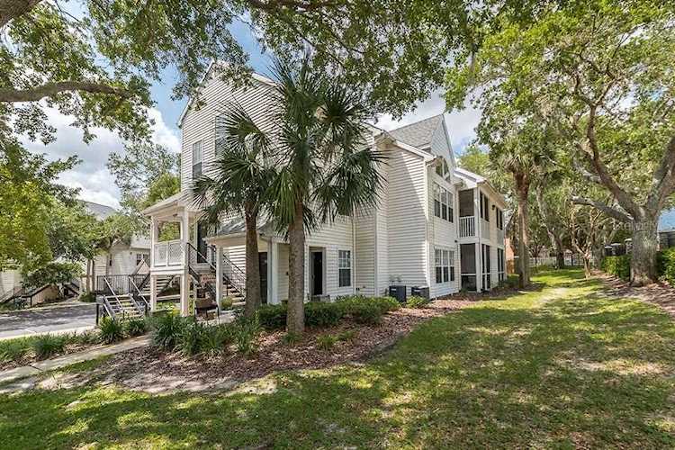 3260 Haviland Ct #103 Palm Harbor, FL 34684