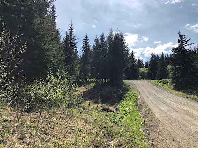 5580 Felix Circle Homer, AK 99603
