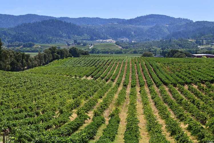4725 Dry Creek Road Healdsburg, CA 95448