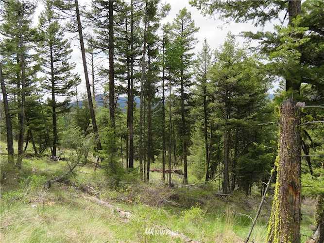 0 Hwy 20 Wauconda, WA 98859 MLS# 1547240 | PNWR.com Photo 1
