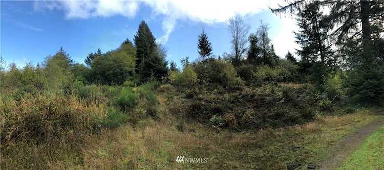 0 Rue Creek Rd Raymond, WA 98577