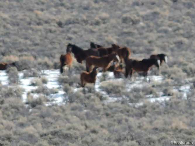 20ac Hwy 159 San Luis, CO 81152 | MLS 5304895 Photo 1