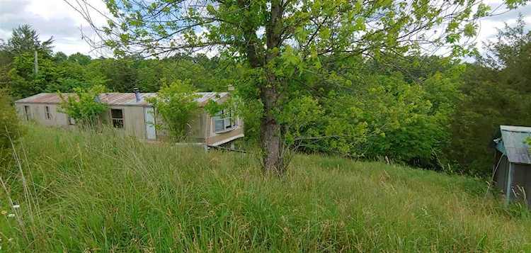 231 Aggie Ln Williamstown, KY 41097-9196