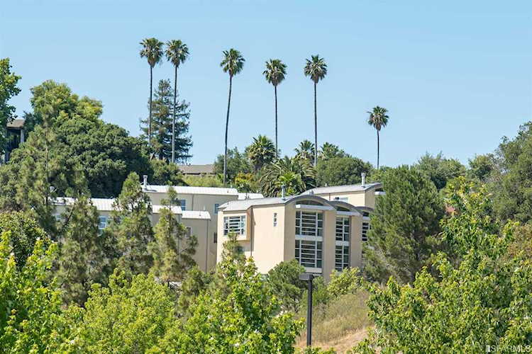 50 Cresta Drive #7 San Rafael, CA 94903