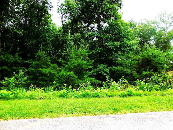 Lot 1 Waterford Moneta, VA 24121