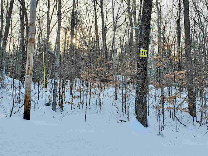 15 O Buzzell Ridge Rd #14 Sandwich, NH 03227