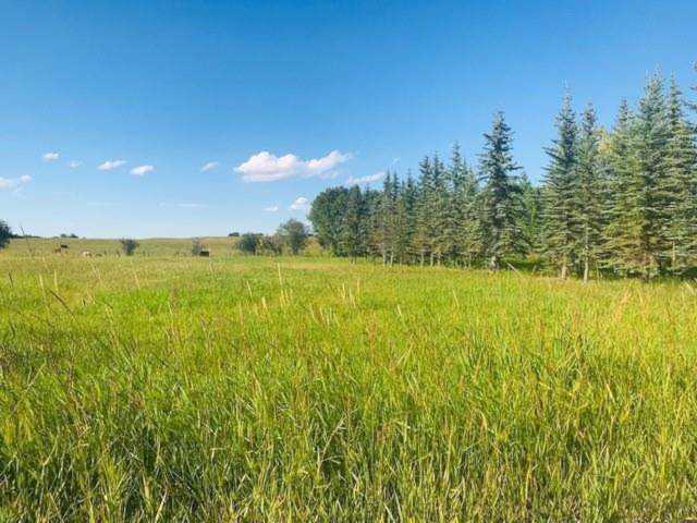 LOT 2 Rocky Mountain View Estates Rural Foothills County, AB T0X 0X0