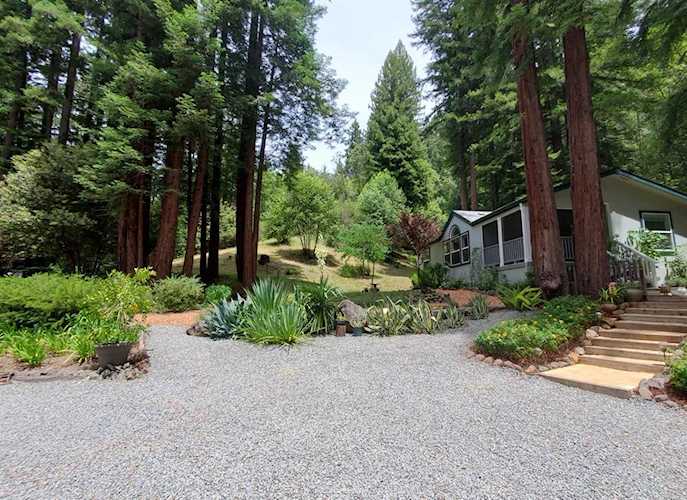 10275 Hwy 116 Highway Forestville, CA 95436