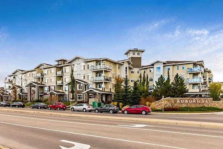 10 Auburn Bay Link SE #401 Calgary, AB T3M 1Y8
