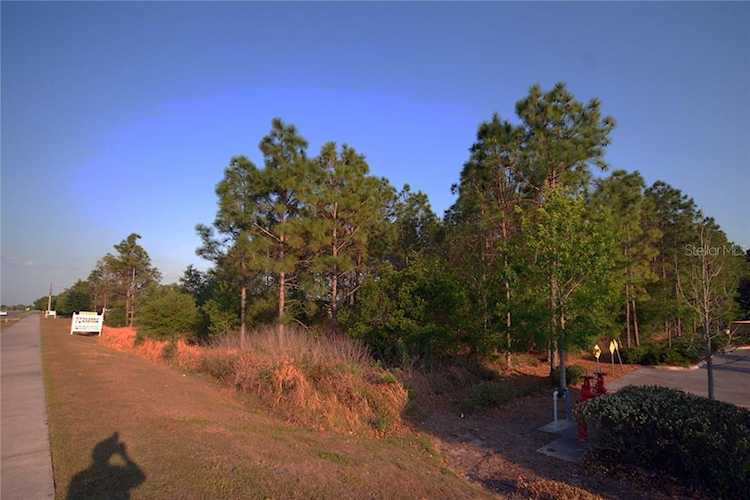 30150 Overpass Rd Wesley Chapel, FL 33545