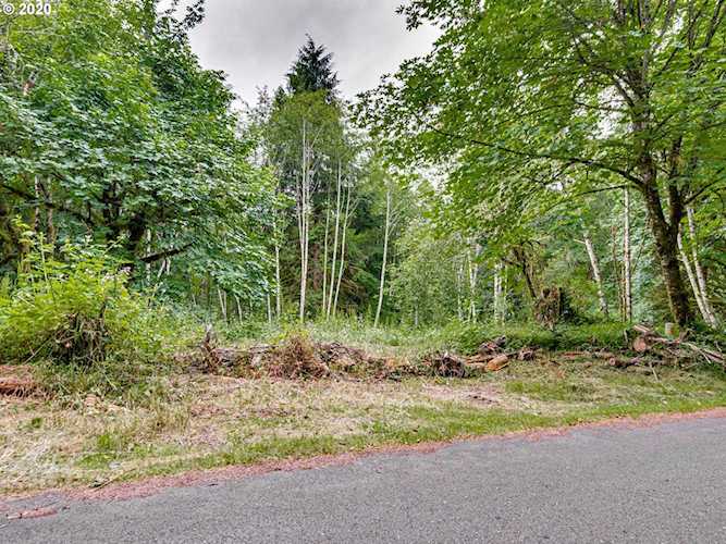 0 NE Echo Ridge Rd Brush Prairie, WA 98606