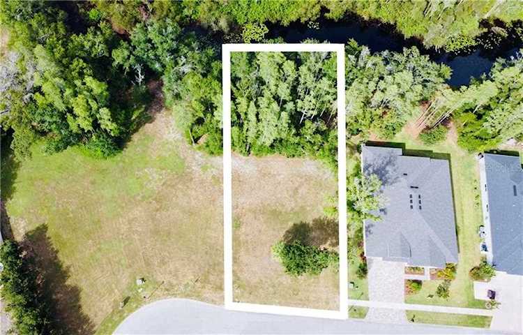 4012 Cove Lake PLACE Land O Lakes, FL 34639