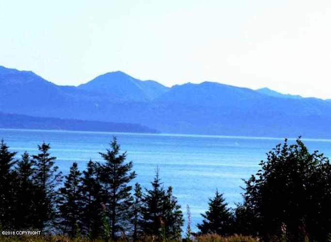 955 Sterling Highway Homer, AK 99603