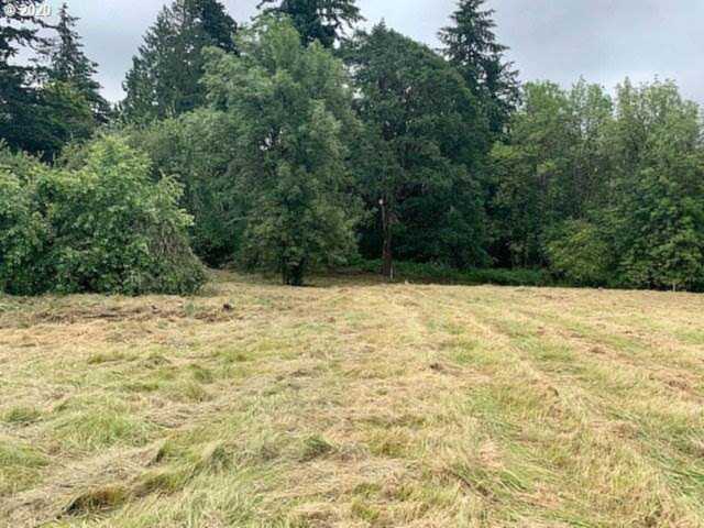 0 NE 159th St Brush Prairie, WA 98606