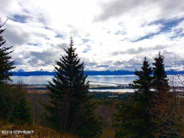 938 Glacier View Court Homer, AK 99603 | MLS 19-5518 Photo 1