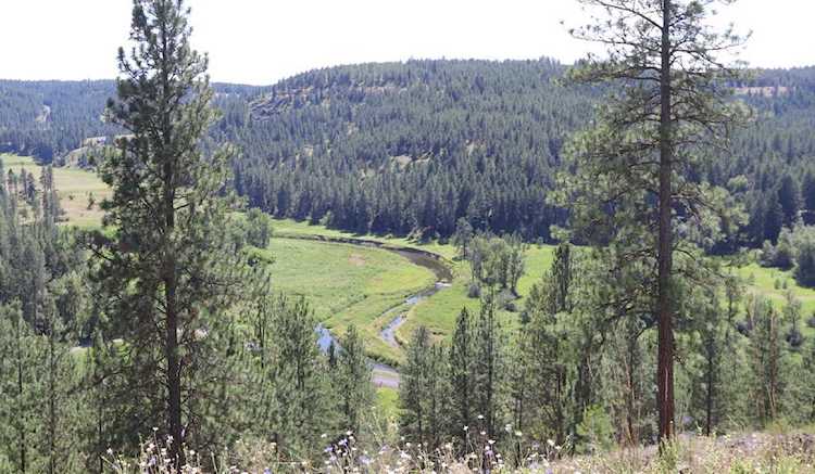 5025 E Latah Ridge (Appx) Ln Valleyford, WA 99036