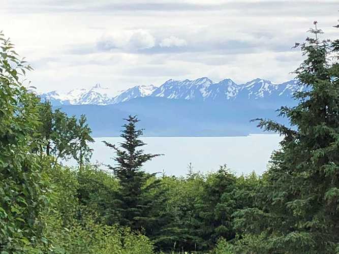 54388 Walters Court Homer, AK 99603