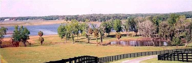 35801 Bozeman Rd Dade City, FL 33525