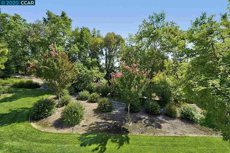 1408 Golden Rain Walnut Creek, CA 94595