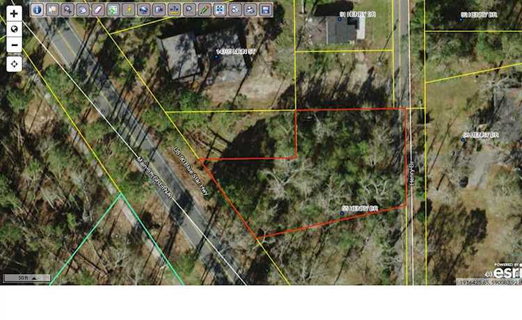 55 Henry Dr Gretna, FL 32332 in None Photo 1