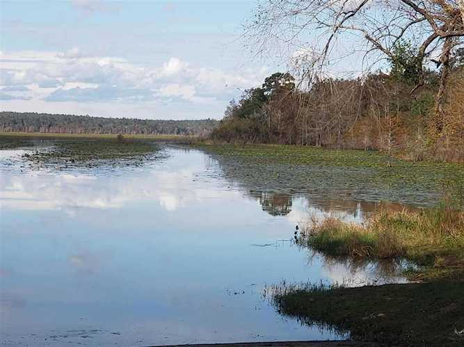 Lot 9 Buck Point Rd Tallahassee, FL 32312
