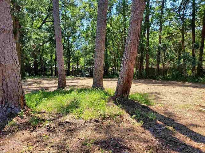 1720 Airport Dr Tallahassee, FL 32304 in Eppes Heights Unit 1 Photo 1