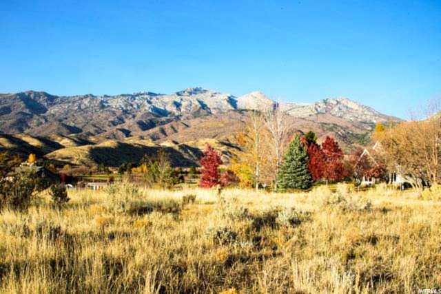 Address Withheld Alpine, UT 84004