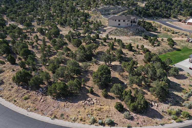 1216 E Ashdown Forest RD Cedar City, UT 84721