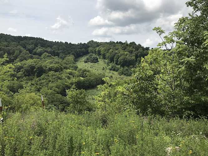 4182 Auburntown Rd Woodbury, TN 37190