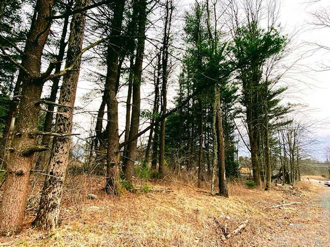 Redwood Rd Blakeslee, PA 18610
