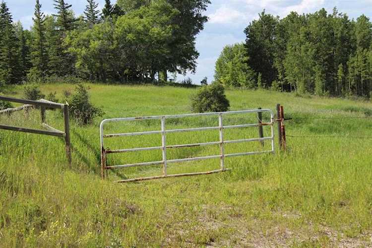 84 Blazer Estates Ridge Rural Rocky View County, AB T3L 2N9