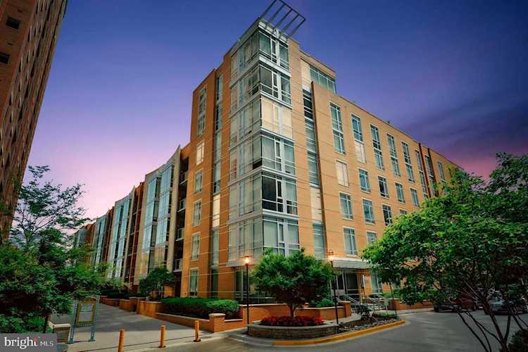 12025 New Dominion Parkway #504 Reston, VA 20190
