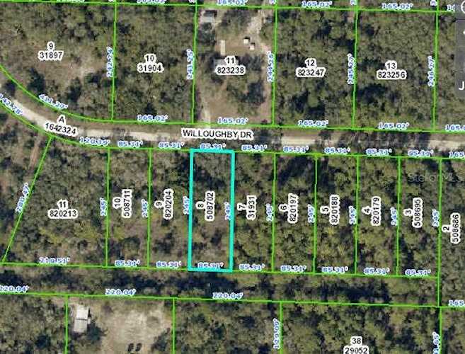 7243 Willoughby Dr Webster, FL 33597 | MLS U8095828 Photo 1