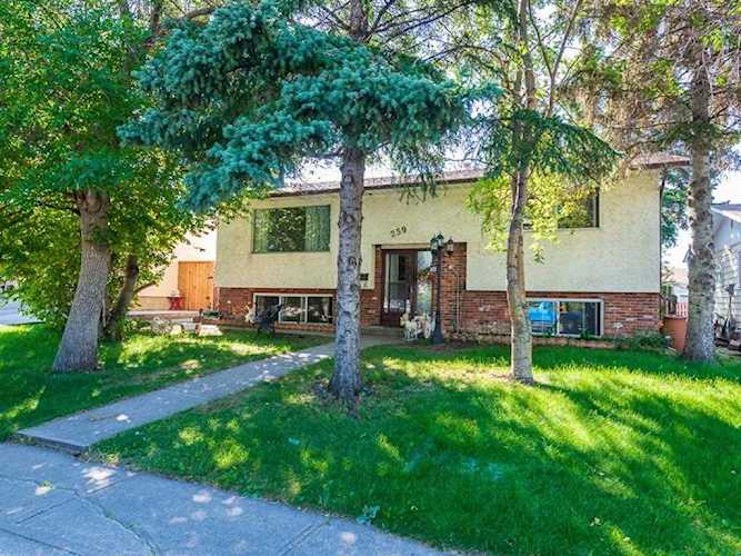 239 Pinemill Rd NE Calgary, AB T1Y 2E1