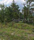 Commercial WAY Weeki Wachee, FL 34613 | MLS W7826234 Photo 1