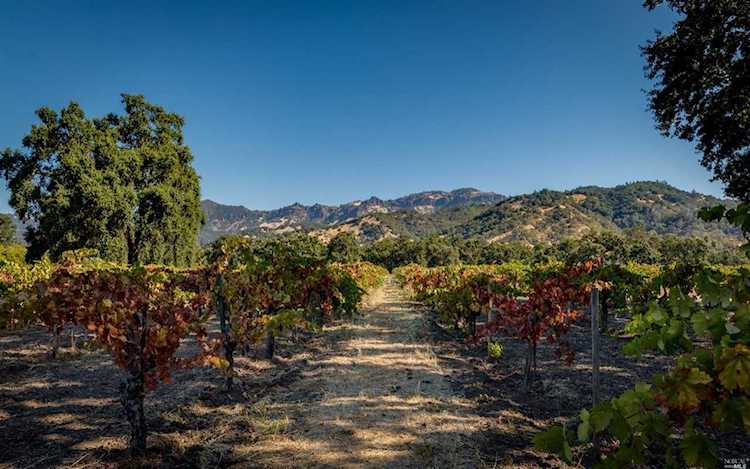 2400 Grant Street Calistoga, CA 94515