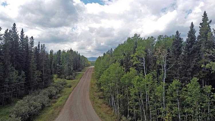 368052 162 Ave W Rural Foothills County, AB T0L 0K0