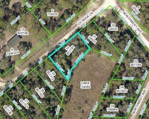 0 Octavia Ln Webster, FL 33597 | MLS W7825465 Photo 1